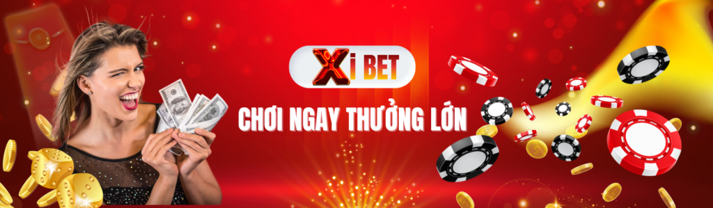 xibet banner